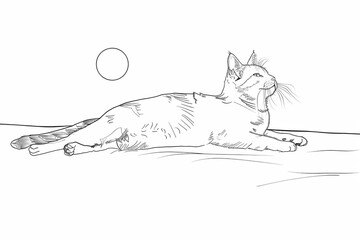 Drawing of a cat resting in the sunlight. - obrazy, fototapety, plakaty