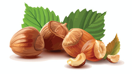 Shelled hazelnuts with leaf on white background Vector