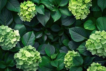 Close up of a bunch of green flowers. Perfect for nature backgrounds - Powered by Adobe
