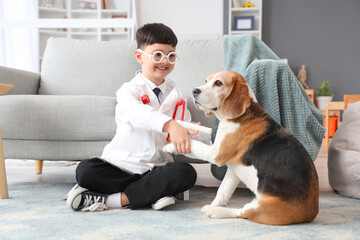 Cute little doctor bandaging dog's paw at home