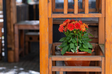 a flower pot as decoration in a wooden shelf
