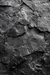 A detailed black and white photo of a textured rock wall. Perfect for backgrounds or architectural designs