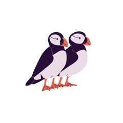 Cute pair of Atlantic puffins. Seabirds with colored beak. Arctic sea birds of north ocean. Couple of wild antarctic animals with feathers. Flat isolated vector illustration on white background