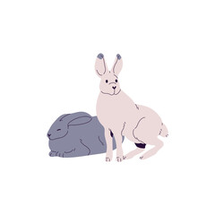 Wild Antarctic rabbits. Cute pair of Arctic hare. Polar bunnies with winter color of coat. Fluffy animals, fauna of cold tundra, north forest. Flat isolated vector illustration on white background