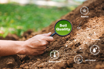 Magnifying glass check Soil quality to control of soil health that contains minerals and nutrients...