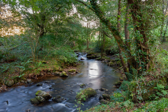 Pisue&ntilde;a River in the Valles pasiegos of Cantabria