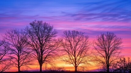 Fototapeta na wymiar Silhouettes of trees against a vibrant sunrise sky, signaling the start of a new day