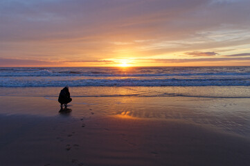 Kobieta fotografująca krajobraz nad morzem o zachodzie słońca, morze północne w Holandii.  © Adam Sadlak