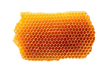 honey honeycomb close up on transparent background