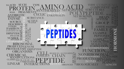 Peptides as a complex subject, related to important topics. Pictured as a puzzle and a word cloud made of most important ideas and phrases related to peptides. ,3d illustration