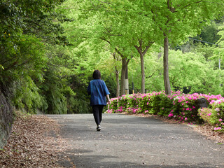 春の新緑の公園の道で散歩する一人の中年女性の姿