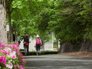春の公園の道で散歩するシニア夫婦の姿