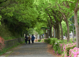 Fototapeta na wymiar 春の新緑の風景と街の道路で歩く女性たちの姿