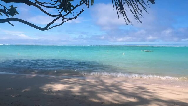 Mauritius Island Trou aux biches, Magnificent ocean sea view through palm and tropical island trees, white beach, deep blue turquoise sea