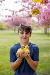 Beautiful children, boys, playing with little goslings in the park srpingtime - 796285121