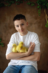 Happy beautiful child, kid, playing with small beautiful ducklings or goslings,, cute fluffy animal birds - 796285189