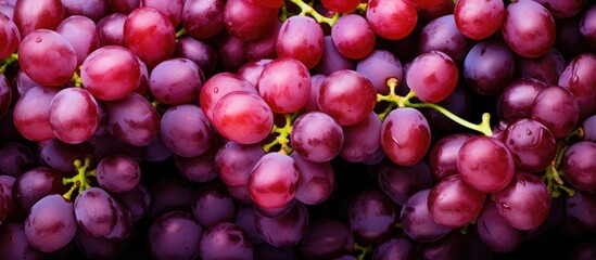 Fototapeta premium Red grapes on table