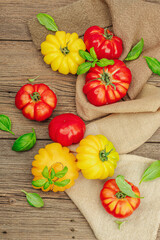 Colorful Heirloom tomato harvest. Ripe ribbed vegetables with fresh basil leaves. Wooden background