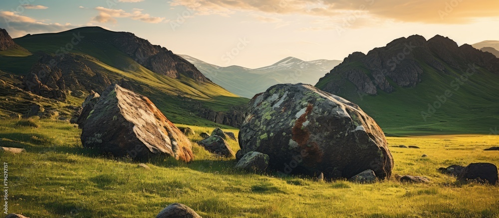 Poster grassy field and boulders in front of mountains