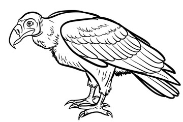 Fototapeta premium basic cartoon clip art of a Vulture, bold lines, no gray scale, simple coloring page for toddlers