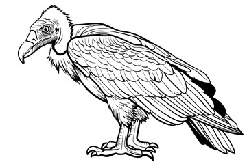 Obraz premium basic cartoon clip art of a Vulture, bold lines, no gray scale, simple coloring page for toddlers