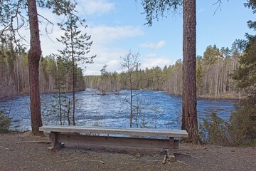 Forest and Oulankajoki river view with wooden bench with clouds in the sky, Kuusamo, Finland.
