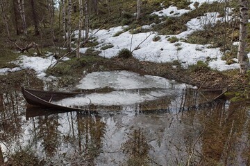 Obraz premium Half sunk old wooden rowboat in small forest lake shore in spring.