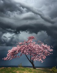 A dramatic scene featuring a robust sakura branch swaying in the wind against a backdrop of dark, stormy clouds - obrazy, fototapety, plakaty