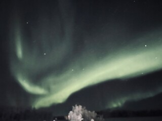 sky with stars and aurora