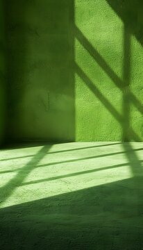 3D render of an empty room with green wall floor, light casting a shadow on the ground, product background