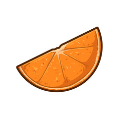 Orange Fruit slice illustration