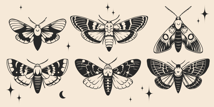 Butterfly and moth set in Y2k style aesthetic, wing shapes in front view, magic symbols collection. Monochrome vintage illustration for tattoo print card, poster design