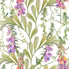 Hand drawn watercolor illustration boho botanical flowers leaves. Foxglove snapdragon lupin, willow eucalyptus, locust indigofera. Seamless pattern isolated on white. Design wedding, cards, gift paper