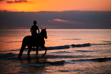 Rider in silhouette excercising the horse