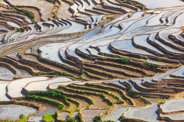 Aerial view on historic rice terraces in autumn in Yuanyang, Yunnan province China