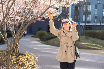 women is taking picture of blossoming cherry on mobile phone on street in spring - 796330109