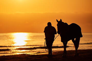 Rider exercises horse in the sea at sunrise