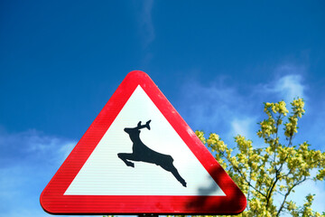 Loose animals traffic sign with blue sky background