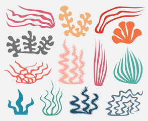 Corals and seaweed. Vector Hand Drawn. Sketch Botanical Illustration. Underwater flora, sea plants. Line art clipart. Vintage pink and blue marine plants