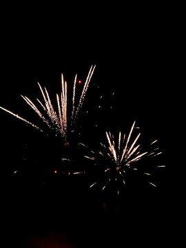 Two fireworks are lit up in the dark sky