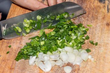Slicing spring onion on a kitchen cutting board with garlic