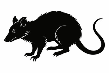opossum-black-silhouette-on-white-background.