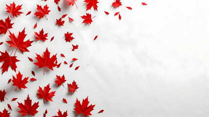 banner for canada day with place for text, red maple leaves on a white background with copy space