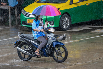 A woman with an umbrella rides a motorcycle in the rain, Bangkok, Thailand