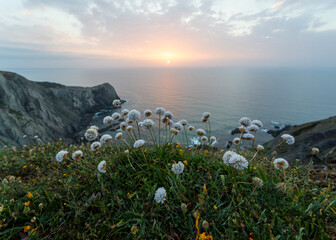 Sunset at Eagle Beach, close to Sagres, Algarve, Portugal