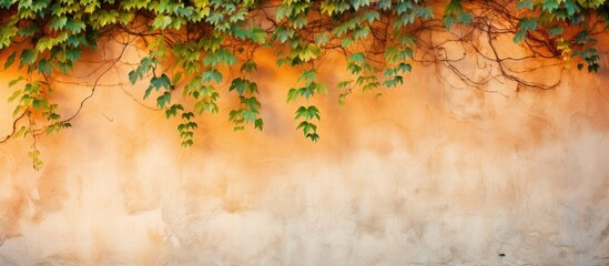 Vines and leaves on weathered wall