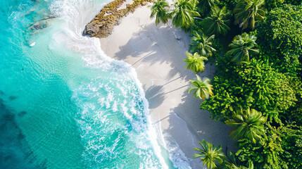 A bird's eye view capturing the picturesque beauty of a beach landscape adorned with lush tropical palm trees