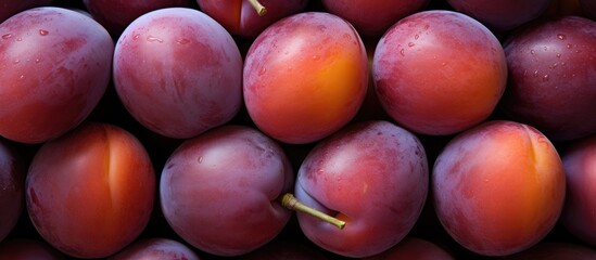Ripe plums with distinct yellow stems