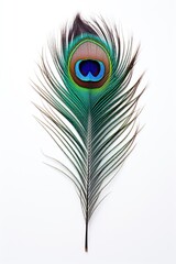 Fototapeta premium Peacock feather pattern animal.