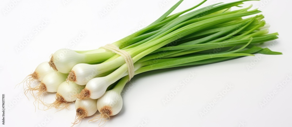 Poster Bunch of Fresh Green Onions on White Surface - Posters